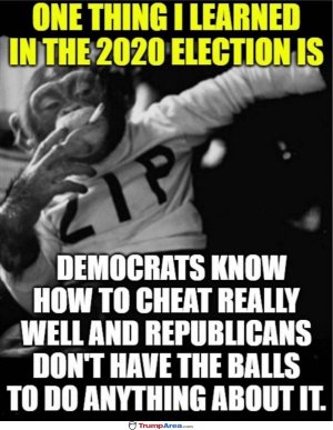 FBEF55C2-3E56-41B6-A9C6-57B0A6D2F9C2.jpeg