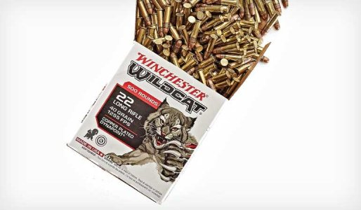 Winchester-22LR-Wildcat-Ammo-770.jpg