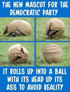 9B7E702F-0D6F-4D57-AEBA-9C0A8E943463.jpeg