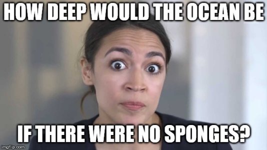 55CD8DB6-85F7-49BA-B844-411A3366C28C.jpeg