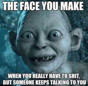 850788D7-8C3F-4F84-8010-99C4B428F5EC.jpeg