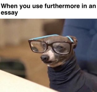 E6145D94-BF05-4A2B-B47E-373F5EA60F03.jpeg