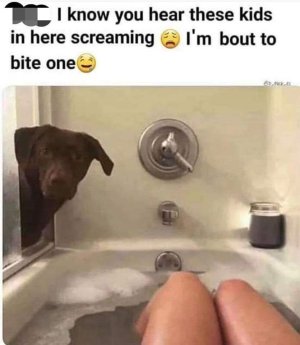 144A4B43-B9C7-4CAF-9C63-AE0AB59382FC.jpeg