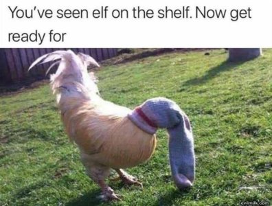 D9F7D5E6-0F6A-4725-BB49-141367A4AF07.jpeg