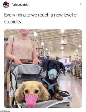 04861372-82B8-418E-86D9-C6042A1CFCA7.jpeg