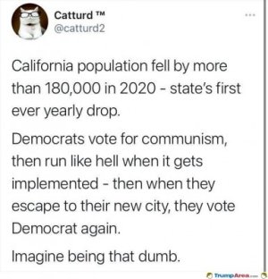 D3DC02ED-69DC-464E-B447-C1DD2F8EAFEF.jpeg