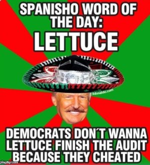 92021995-FBBC-4595-8943-E19C89D82CA4.jpeg