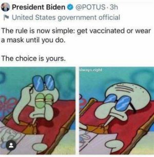 37633A29-E9BE-4747-BA45-975AEBCAEB7D.jpeg