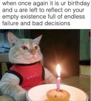 F8D04E3D-434B-4696-B058-F8FC0DE66500.jpeg