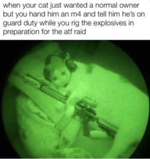 492FFF33-95FE-4421-87A4-BDE0D0BEAD9C.png