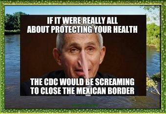 5697EB28-86D9-4BFA-AE35-67D51686947C.jpeg