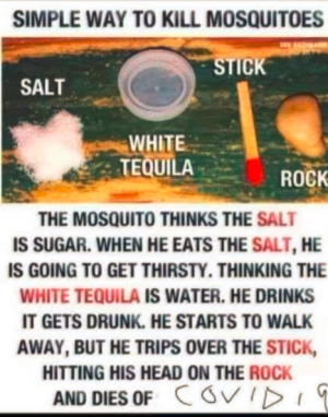 A41EBED9-B5EB-4A0C-A9F0-FA8791172086.png