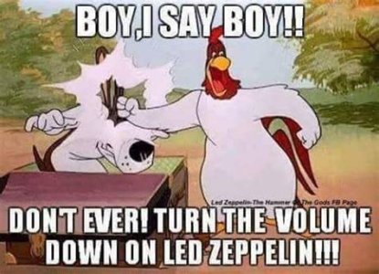 49983493-9EC7-4E1A-A44E-6AFAF5603602.jpeg