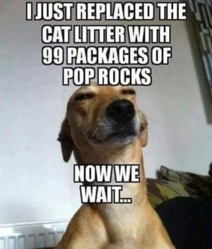 __3e854645ca3d746d20c773857d1cbde7_width-600.jpg