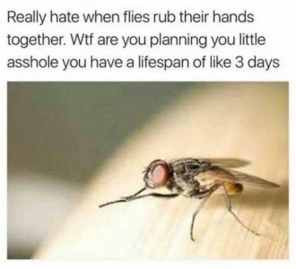 45E9F2D5-0A1A-4E8F-81B5-CB1284E59917.jpeg