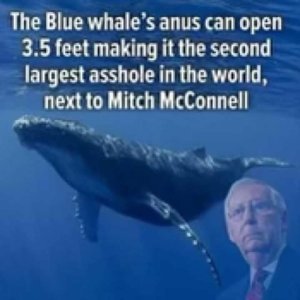649CD580-FCDF-43E9-BD84-12A9D05F7A19.jpeg