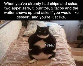 B3D022F4-3DC4-4F91-B3D7-02A99365976E.jpeg