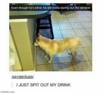 9BEB2BE0-432C-402A-8F72-70233B1C50B7.jpeg