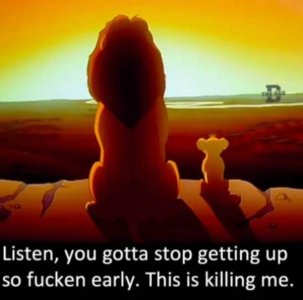 0382AEDD-44F0-43A1-85B4-440EC835B115.jpeg
