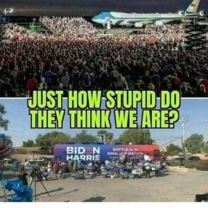 stupid.jpg