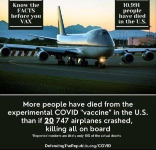 747.jpg