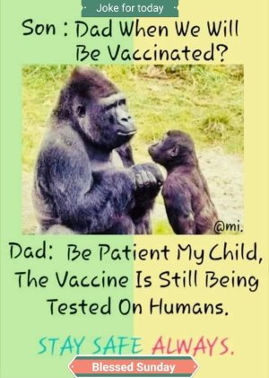 haramvax.jpg