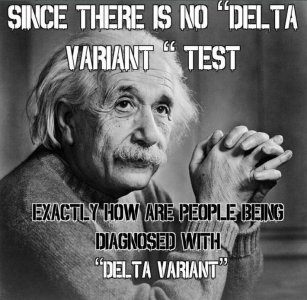 D825B70B-0FA0-4D83-B40C-807733A9EA14.jpeg