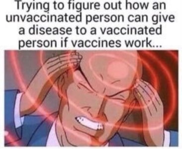 C5699986-EE0A-4A36-ACEB-7DEB458341D1.jpeg