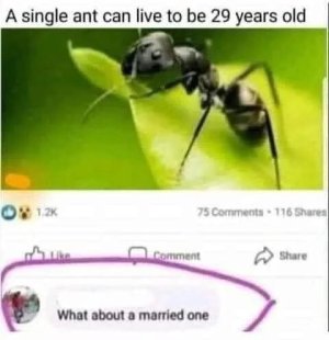 D2E49830-498D-4476-987A-C3069A08E0B0.jpeg