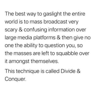 C8CC2A4A-4888-4F44-9DE2-FD47E747F323.jpeg