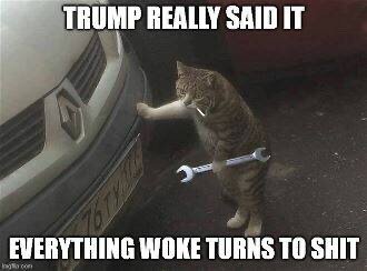 1F33C46C-E994-48C9-AC38-ACF306B9F232.jpeg