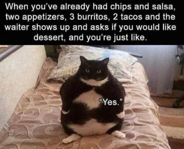 E7B61315-E366-4FE9-AC4A-AD2B78AA8015.jpeg