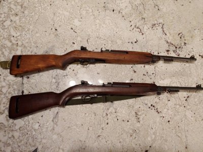 Carbines (Medium).jpg