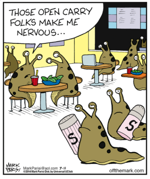 241711756_1016906695788851_4063489234379757991_n.png