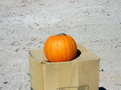DSCN2494.JPG