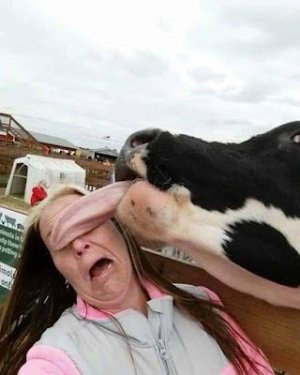 daily_picdump_3853_640_high_02.jpg