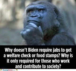 F5F145E5-866E-4B8A-B57F-35F70CDBF0B9.jpeg