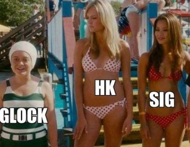 hksigglook.jpg
