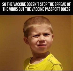 1740ED27-B145-4530-95D2-514D5C088AE4.jpeg