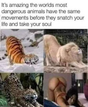 184377001_848005855927715_7093836693862171867_n.jpg