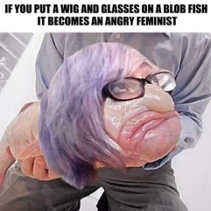 0FED5A4D-E1C0-4EE1-85A5-3C707FC5552F.png
