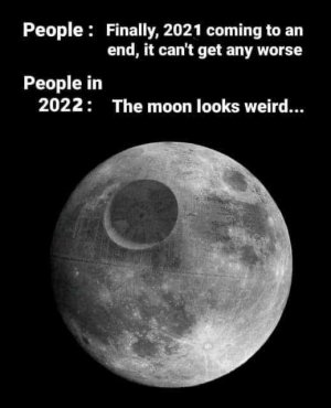 9103.jpeg