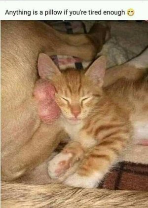 Pillow.jpg