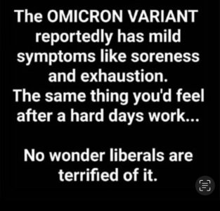 E1278CCB-66D2-4949-8472-44096B2D81B8.jpeg