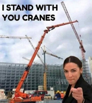 11D5FBD1-53A5-4545-8140-1A681DF65A0E.png