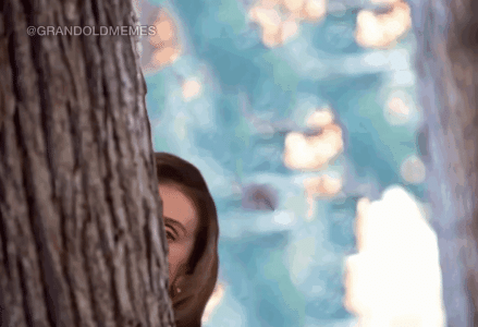 47641AD6-6803-4CF7-A3B6-5188FC5B9192.gif