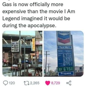 275288848_7676266379050909_7678700946384974506_n.jpg