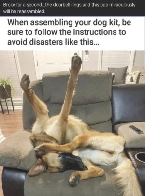 E842AC26-EBC7-4745-867E-4AAFCC21E4C7.jpeg