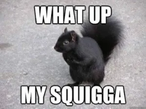 whatupmysquigga.png
