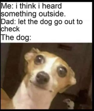 983D7509-0897-45C3-B4A4-871A5C0FFABC.jpeg